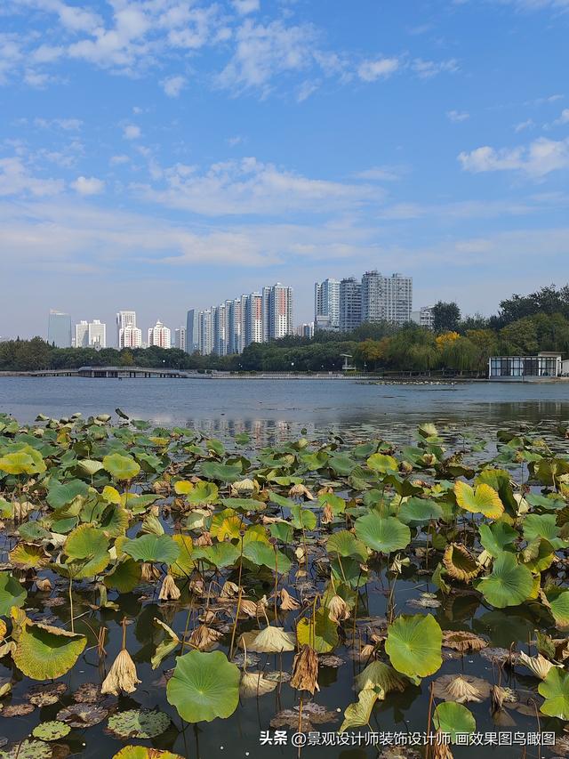 河北省邯郸市龙湖公园