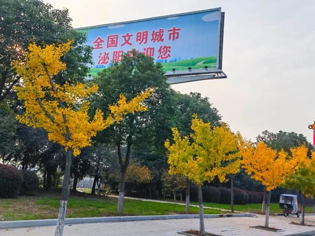 近日，铜山湖大道变了样......