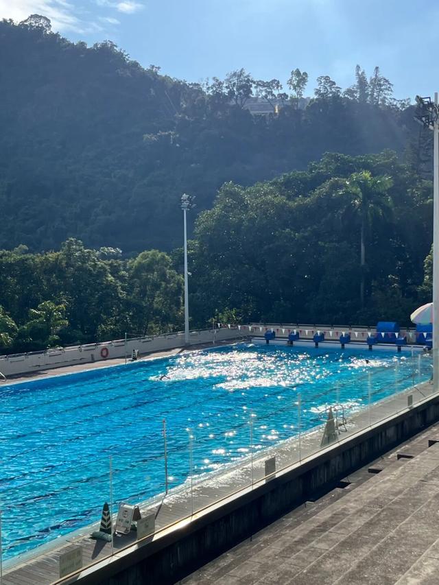 10月，「需要另一个同类」