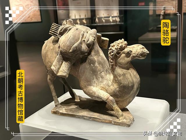 一座县城博物馆，不仅是全国首家，而且还是全国唯一