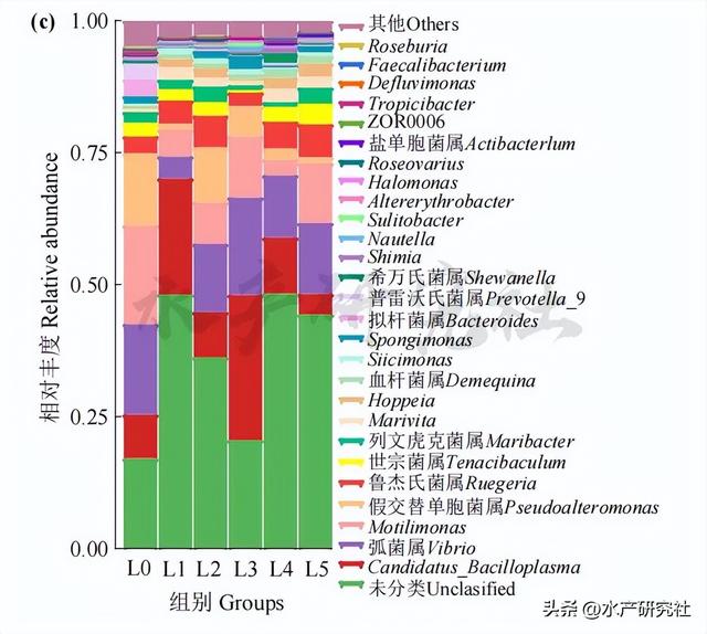 揭秘水产养殖中小肽！拌料促成长提升免疫调肠道健康一个都不少！