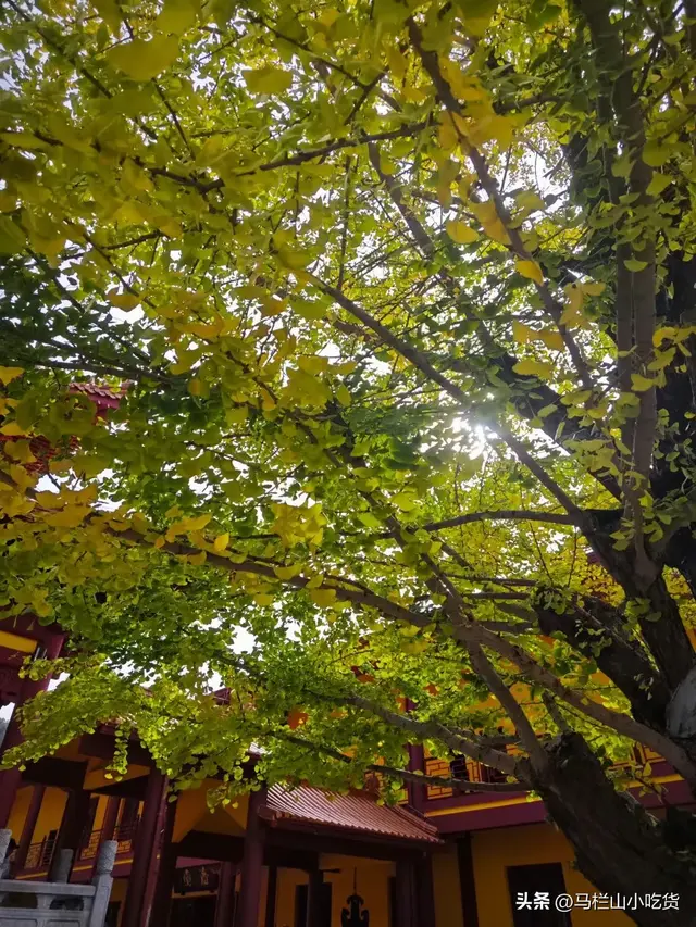 湖南长沙周边游，这些小众景点，等您探秘！
