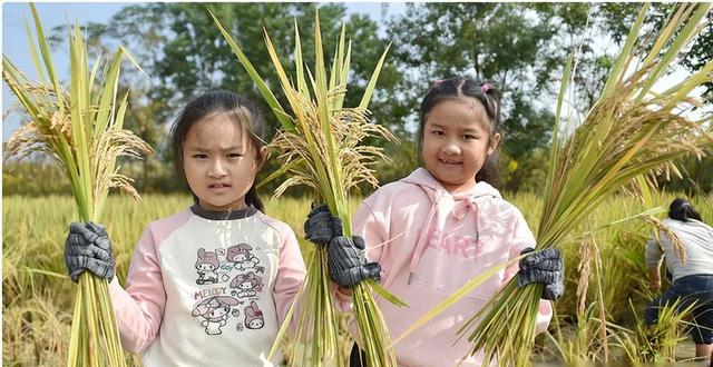 千万别大意！稻田里藏境外间谍，偷几粒种子竟能端14亿人饭碗？