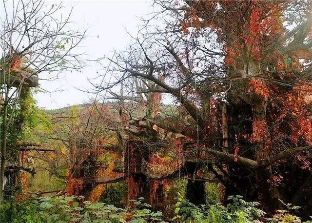 秋华未减，冬景将至，来炎帝影视基地赴一场秋冬的约会吧！