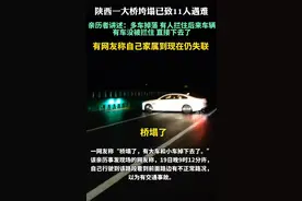 陕西高速大桥垮塌后续，当事人痛哭讲述：拦不住，眼看着掉下去！图片