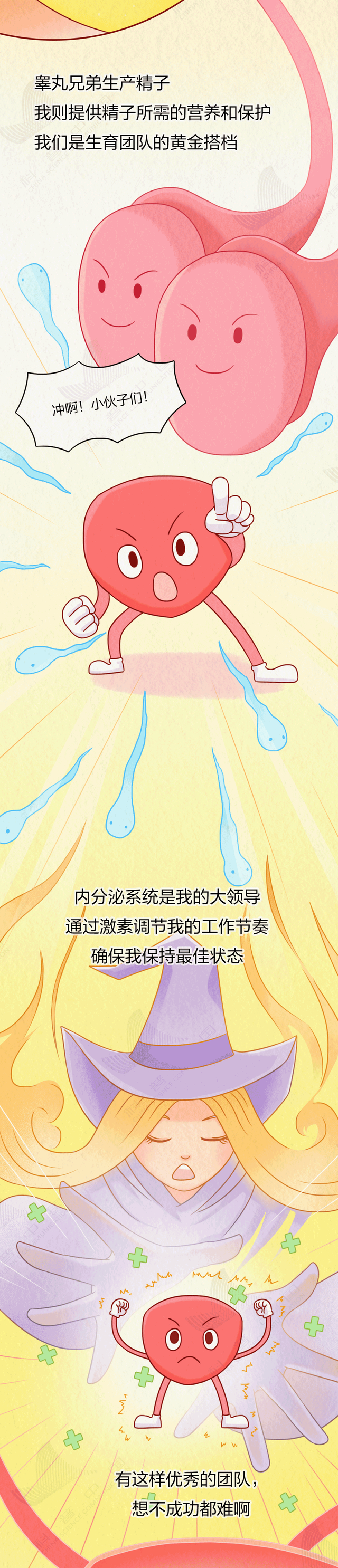 男人逃不掉的一个麻烦：前列腺变大！有这 5 个习惯的人要当心了！
