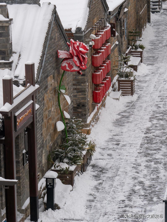 【乐游烟台】烟台，中到大雪！