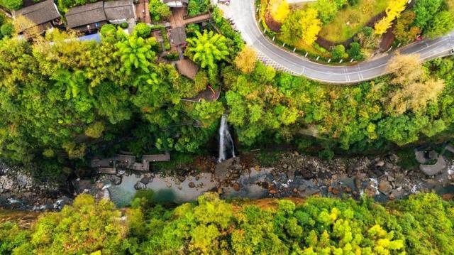 被秋景硬控的恩施还会火多久？