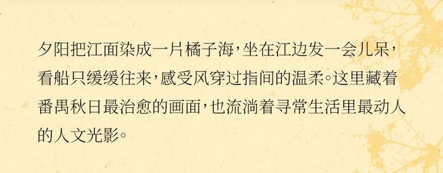 番禺秋日治愈系天花板!在这里江边漫步,才是顶配的私藏浪漫