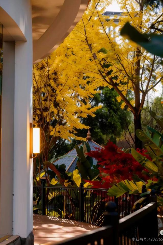 70年时光流转，重遇洱海宾馆