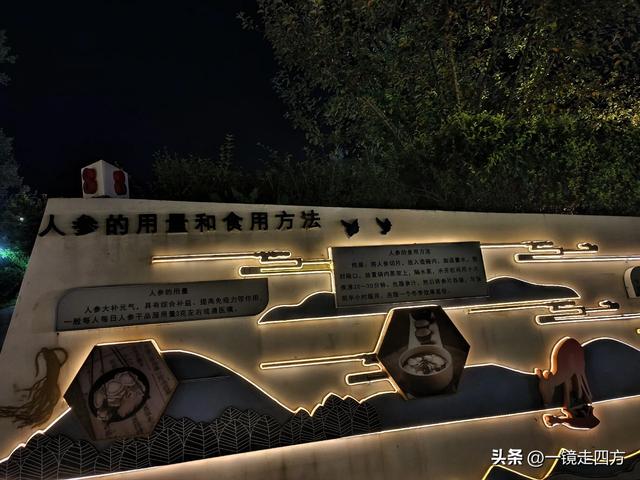 入夜，通化2021年打造的佟佳江旅游度假区灯光亮起，如梦似幻