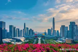 中国公园最多的城市，深圳1290个公园，推荐10大公园图片