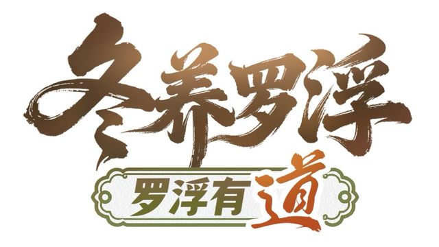 “冬养罗浮”康养品牌发布！在引领区过冬是怎样一种体验？