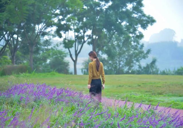 粉粉粉粉粉粉紫紫紫紫紫紫！金堂这里，好漂亮……