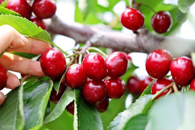 去外地旅游，要不要联系老同学？