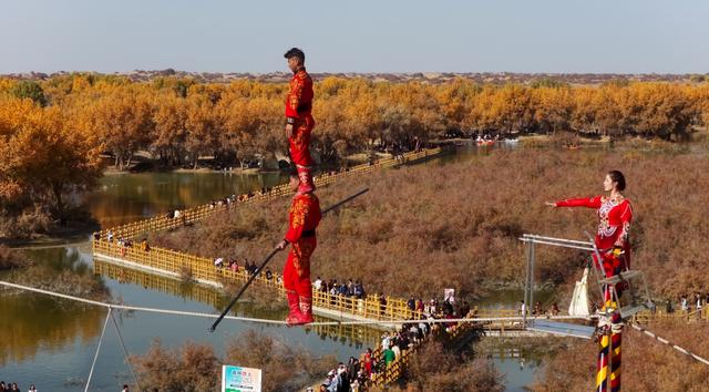 新疆洛浦：胡杨季启幕，游客醉在金林看演出