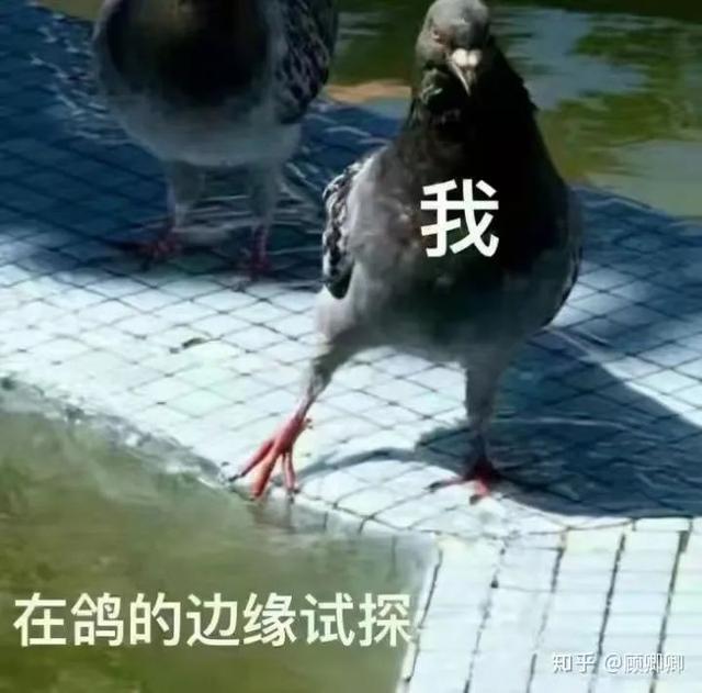 刚刚公布这红米 Turbo 5 ，看完我是真想买啊！