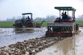 未来农村最吃香的可能是以下三大行业，一起来看看你是否也在其中图片