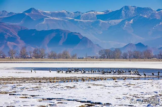 2025最香旅行！冬游西藏10个必去免费景区，这波羊毛不薅亏大了！