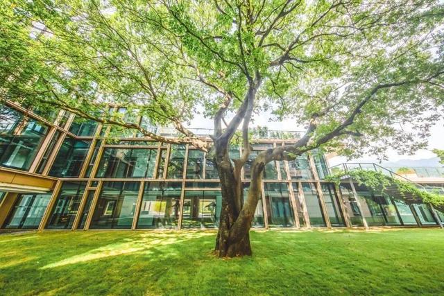 自驾1h叹广州真温泉,私藏高端度假地泡私汤+双早+双晚,正点!