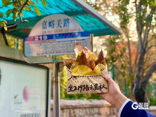 穿行八大关，青岛这条公交线开往“金色童话”世界