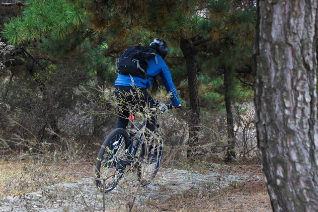 英国友人解码棋山魅力