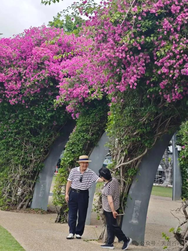澳洲黄金海岸与布里斯班旅游诗抄