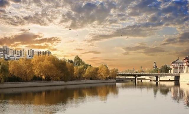 公园秋景：层林尽染 景致似锦如画