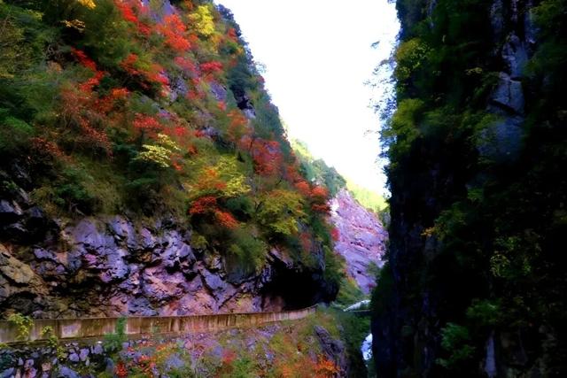 徽县大河店镇：层林尽染处 藏着最治愈的秋日时光