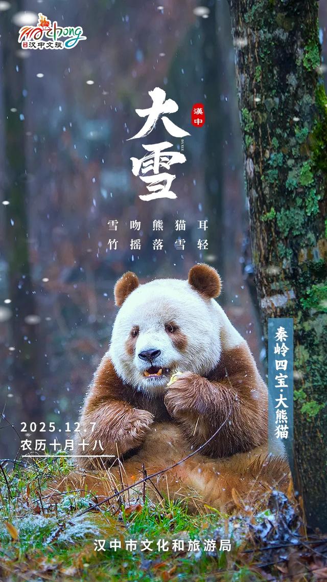 大雪 | 汉中雪盛时，鸥鸣雪舞共欢腾