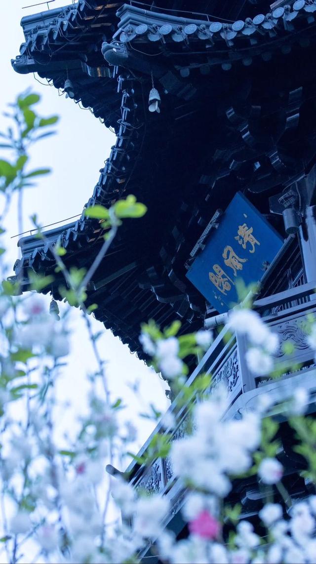 慢煮水城，泰州时光：一份不赶路的深度漫游指南