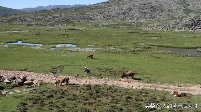 跑了一天阿禾公路，再次取消赛里木湖行程。