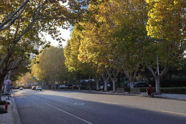 超出片！江阴这些地方“红了”！