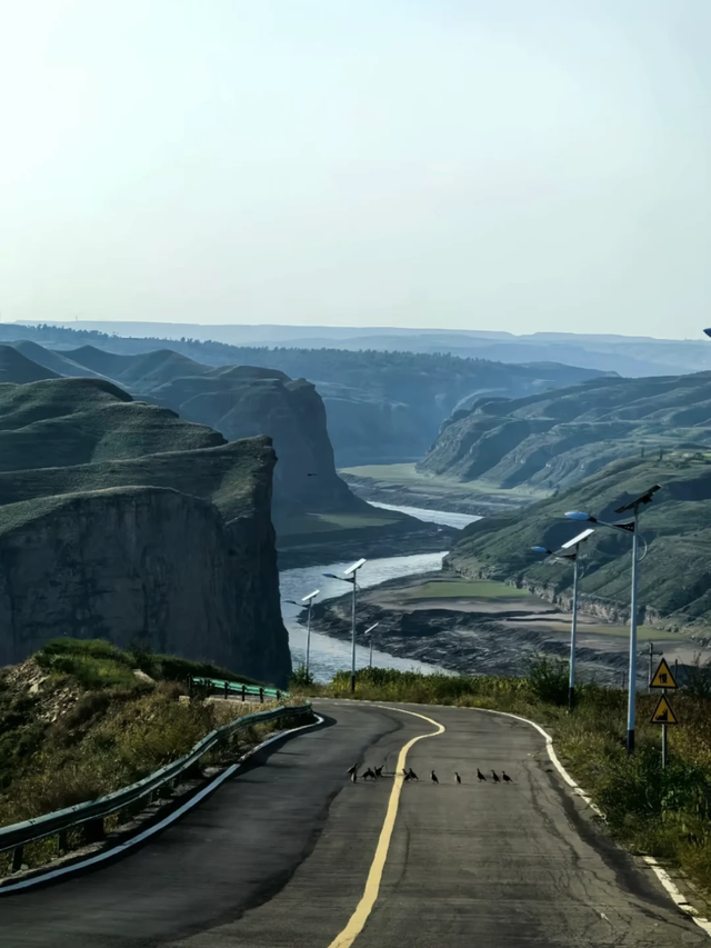 本周日，呼和浩特这家知名景区免费入园！免费吃美食！