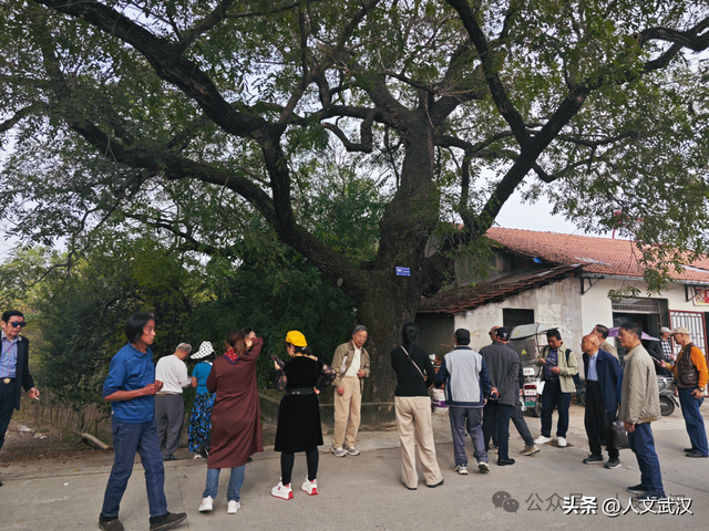 行走天下 | 2025年新洲深秋之旅