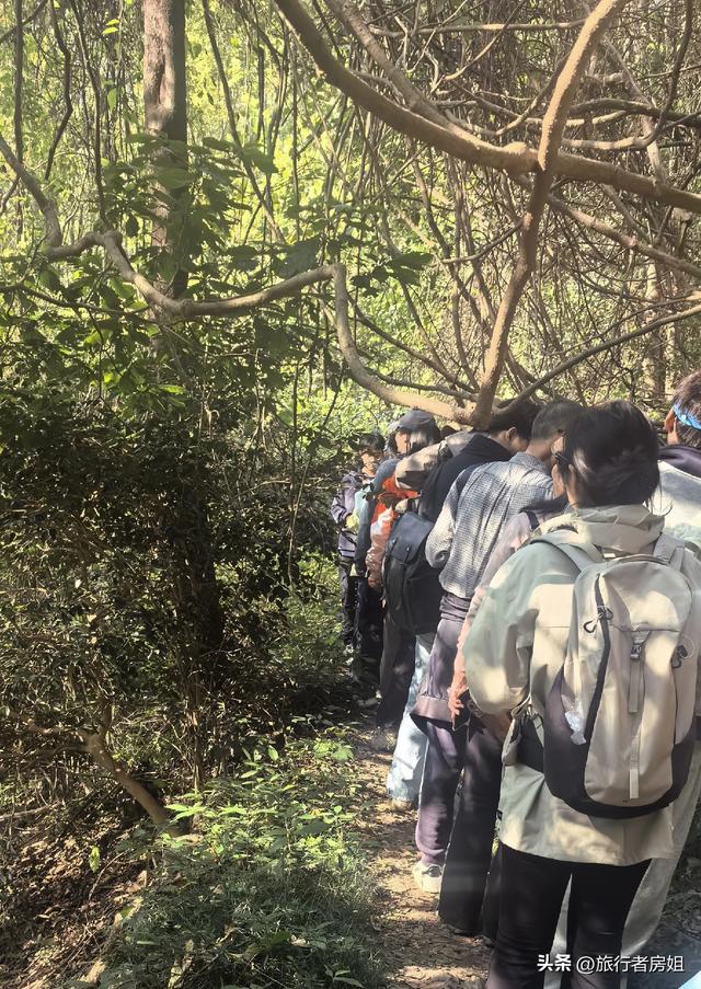 真是醉了，徒步奉化东西岙徐凫岩看悬崖飞瀑堵人竟然堵到怀疑人生