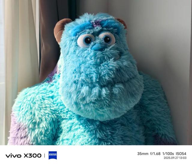4399元起的vivo X300，能成为今年最强标准版手机吗？