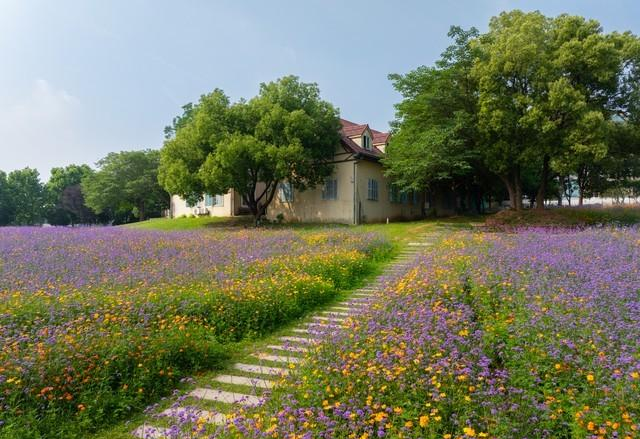 女人想“睡”你时，才邀请你做这3件事；别傻不知道