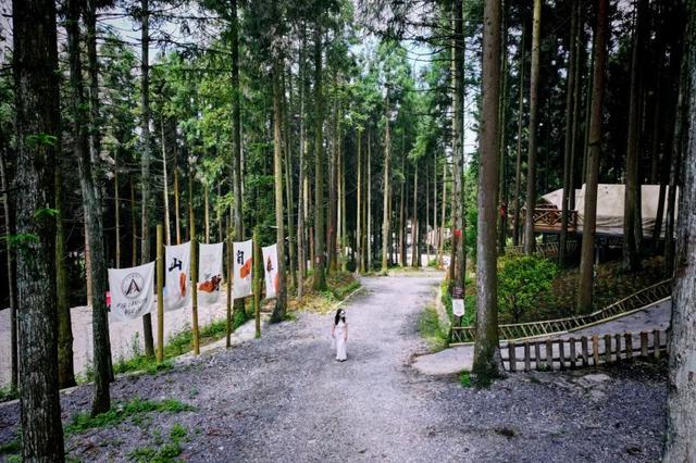 “趣”南川，野一“夏”！南川露营地全攻略，藏着夏日清凉答案→