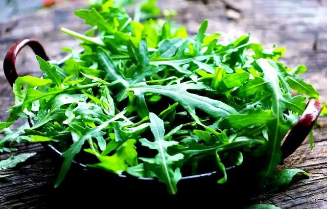 野菜美味背后的真相,苦菜荠菜小心致癌,被警告不再贪吃