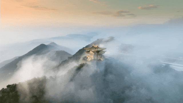 跟着赛事游随县丨大洪山顶级赏秋地更新！银杏最佳观赏期已到！