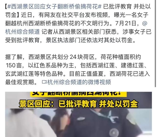 西湖断桥突发！有人跳下......刚刚景区回应！