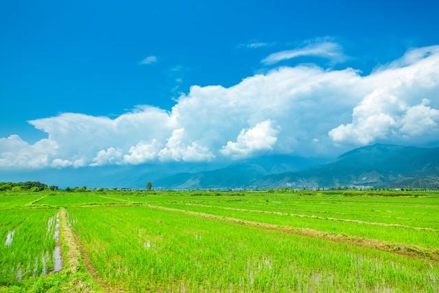 情深不寿，慧极必伤，念浓易瘁， 痴极致惘
