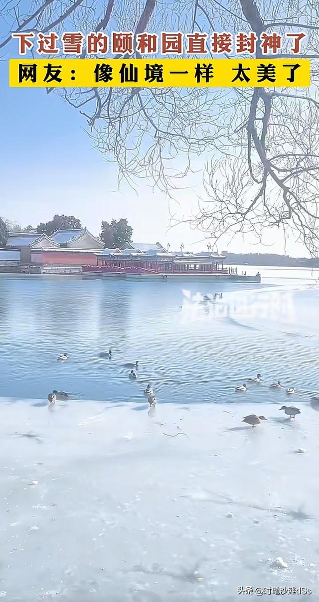 雪后颐和园一键变水墨画，这中式美学绝了！