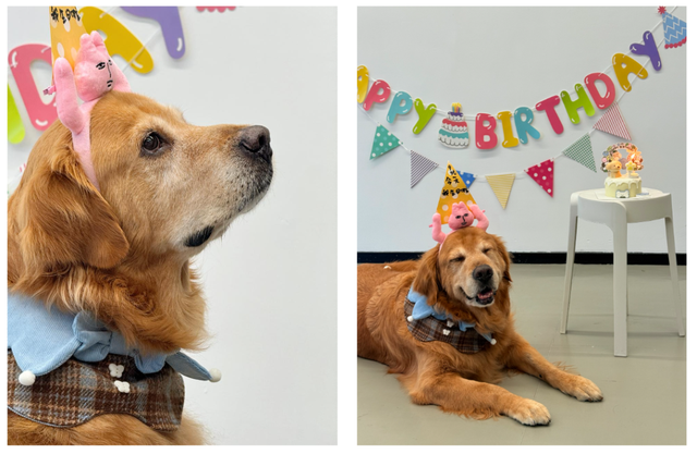 一场横跨三大洲的百年影像战争，最后被国产手机干翻了？