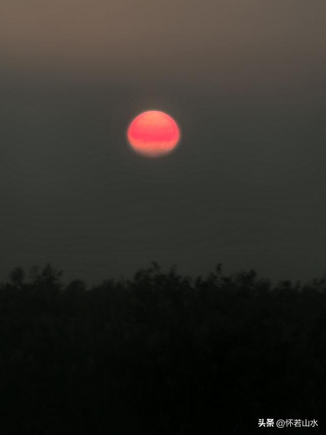 2025辽宁赏秋之旅日记(6)——到辽河口中国最北海岸线看日出 观鸟