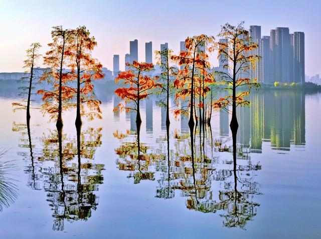 长沙私藏的五个红叶仙境，拍摄到最后一个美到词穷！