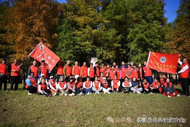 最美水杉林里志愿红