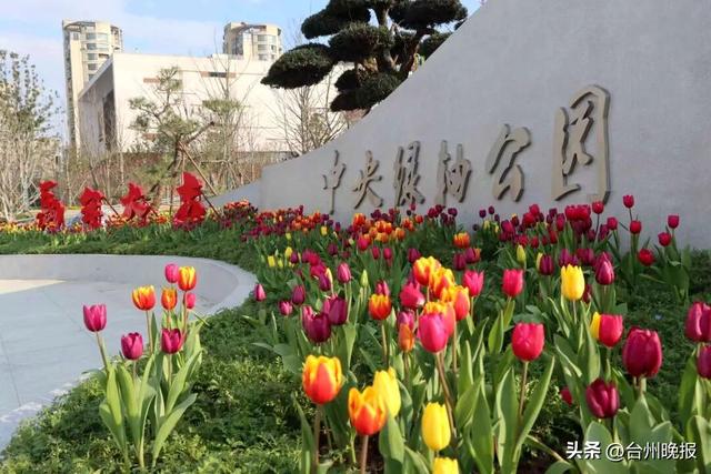 9万平方米！市区这一公园等你来打卡