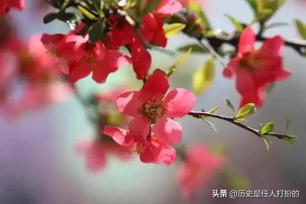 全方位介绍临沂河东区仅剩的六个镇街（6）:美到窒息的汤河镇